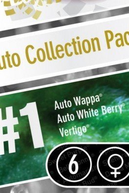 Auto Collection Pack 1 (Paradise Seeds)