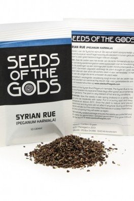 Syrian Rue (Peganum Harmala), 10 grammes