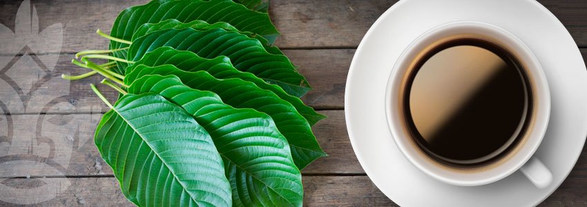 Café Kratom