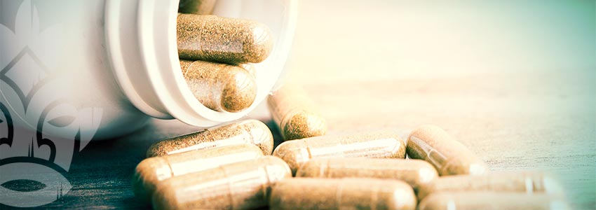 Quelle Est La Bonne Quantité Pour Microdoser Des Champignons Magiques Et Des Truffes ?