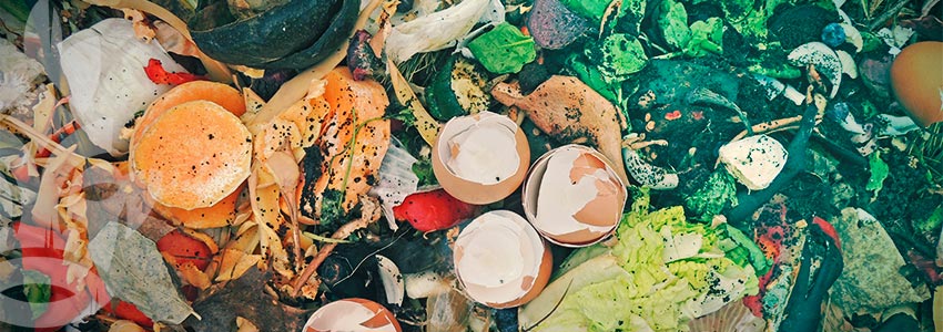 Comment Faire Un Tas De Compost