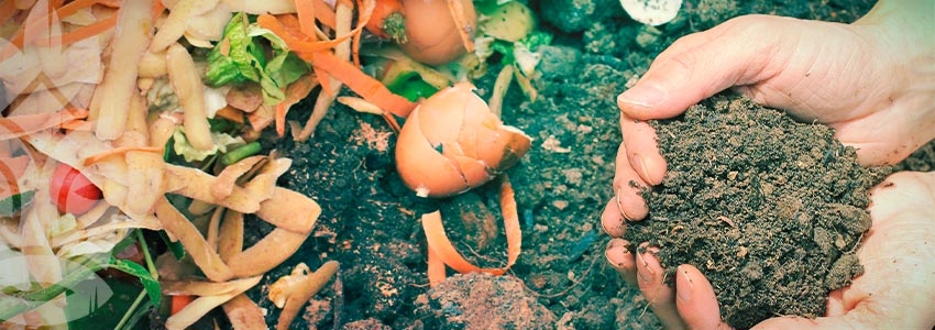 Préparer Votre Propre Compost