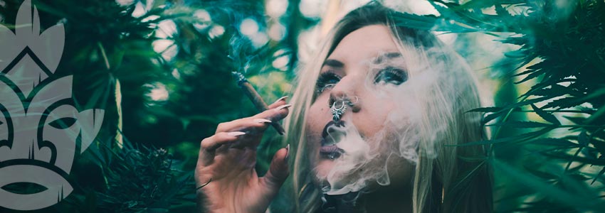 Pourquoi Devriez-vous Fumer De La Weed Avec Un Faible Taux De Thc ?