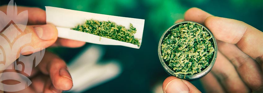 Les Avantages D’un Grinder De Cannabis