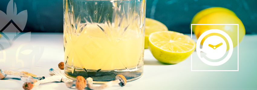 Combien De Temps Durent Les Effets Du Lemon Tekking ?