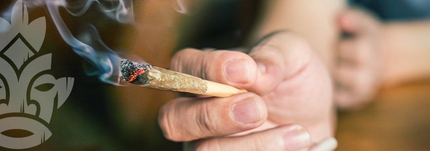 Les Joints : Plusieurs Voies Pour La Même Destination