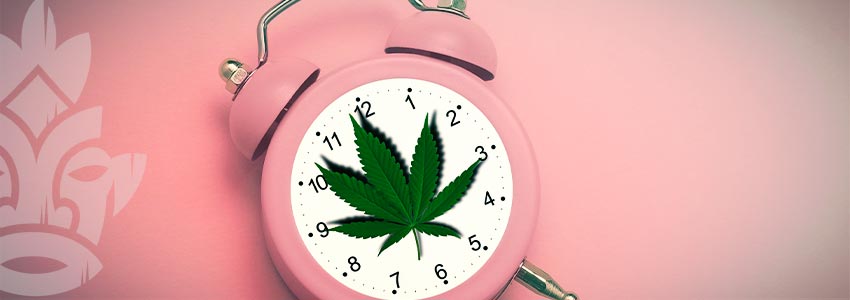 Quand Faire Une Pause De Tolérance