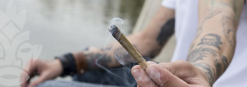 Hasch Et Cannabis : Pas Si Différents Après Tout