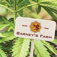 Consulter Le Catalogue Complet De Barney'S Farm