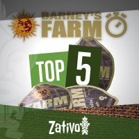Top 5 Autofloraison Barney's Farm