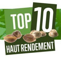 Top 10 Des Variétés À Haut Rendement
