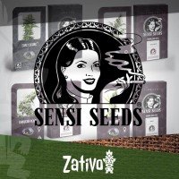La gamme Sensi Seeds redux