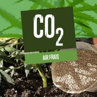 Air frais (et CO2) pour le cannabis