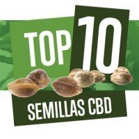 Top 10 des Graines CBD