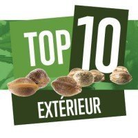 Top 10 en extérieur