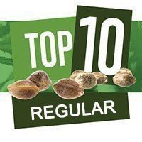 Top 10 Régulières