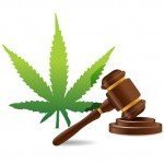Le Gouvernement Britannique Poussé À Essayer La Régulation Du Cannabis