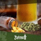 Cannabis En Combinaison Avec Alcool Ou Médicaments : Ce Qu’il Faut Savoir