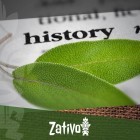L'Histoire De La Salvia