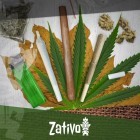 Les Différences Entre Joints, Blunts et Spliffs