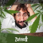 Top 7 Des Variétés De Cannabis Pour Soulager Du Stress