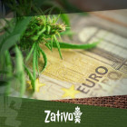 Comment cultiver du cannabis avec un petit budget