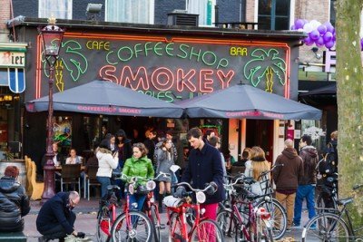 Les Coffeeshops aux Pays-Bas Vendent de l’Herbe Pour 1 Milliard d’Euros Chaque Année